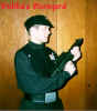 imp_gun.jpg (158112 bytes)